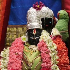 Image of Sri Bhudevi